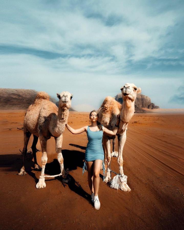 Quite Bedouin Life Hotell Wadi Rum Eksteriør bilde