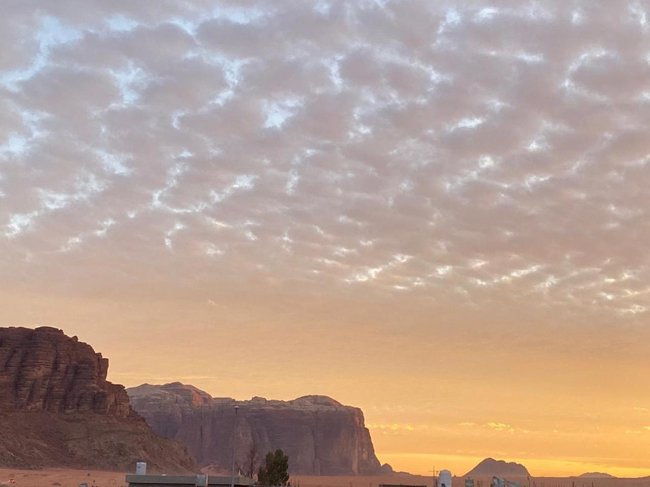 Quite Bedouin Life Hotell Wadi Rum Rom bilde
