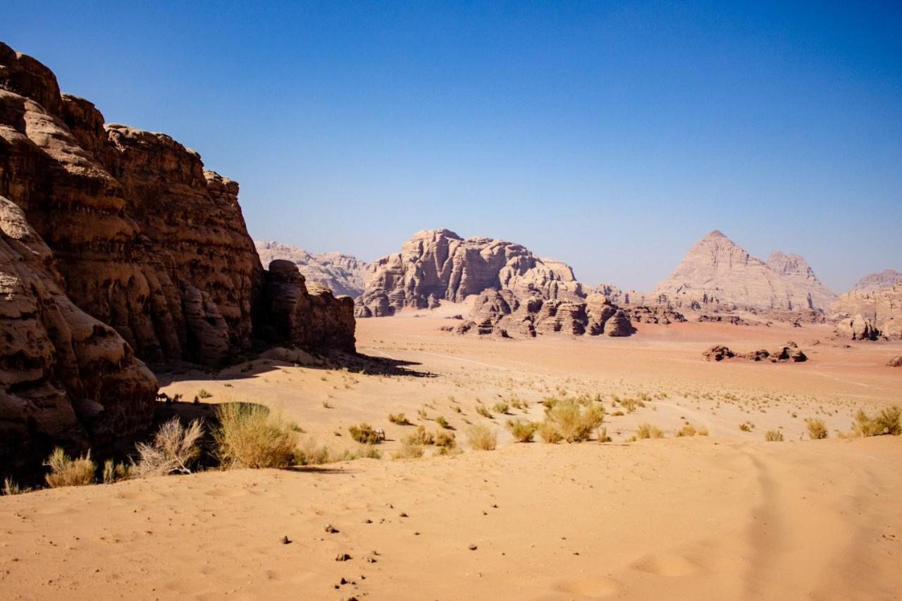 Quite Bedouin Life Hotell Wadi Rum Eksteriør bilde