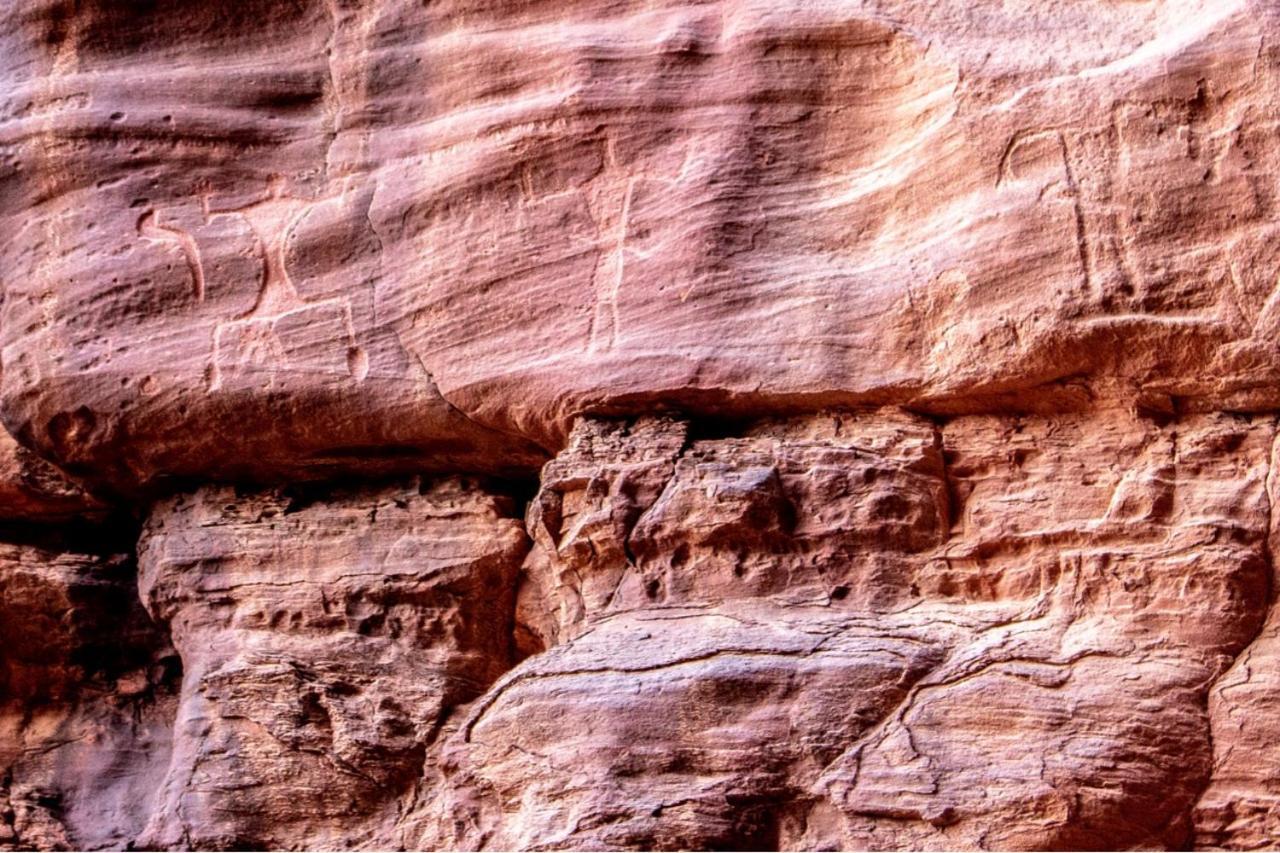 Quite Bedouin Life Hotell Wadi Rum Eksteriør bilde