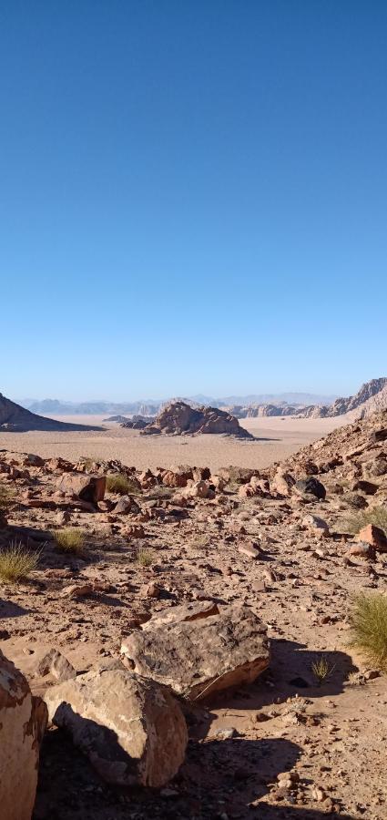 Quite Bedouin Life Hotell Wadi Rum Eksteriør bilde