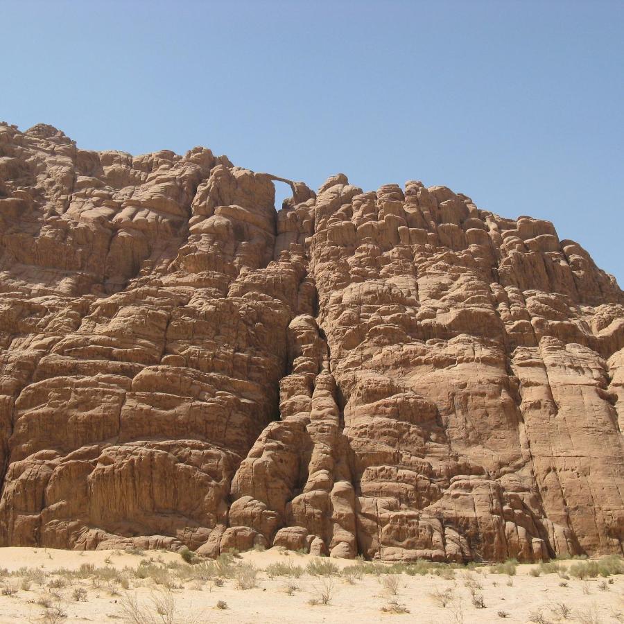 Quite Bedouin Life Hotell Wadi Rum Eksteriør bilde